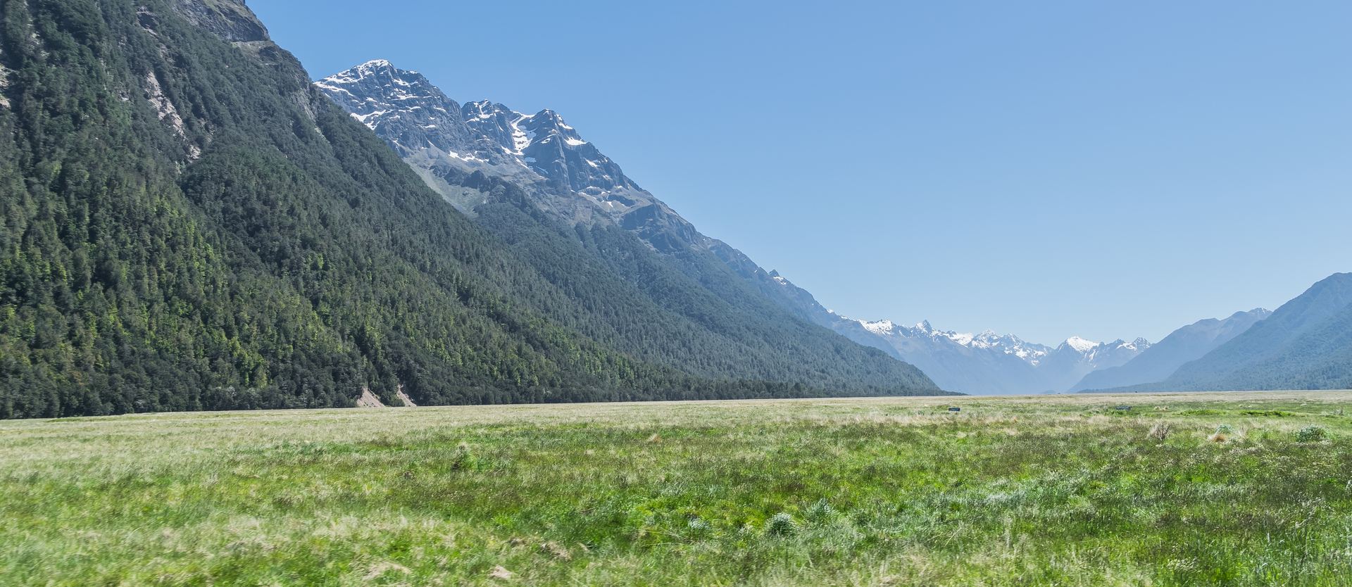 Green valley and forested mountains in Eglinton Valley, Fiordland, New Zealand